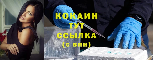 гидра Саяногорск