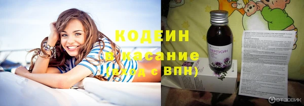 гидра Саяногорск