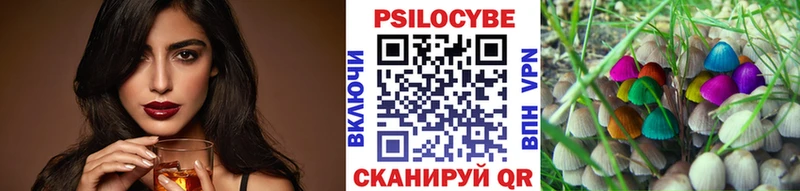 Купить закладки  Кузнецк  Псилоцибиновые грибы мухоморы 